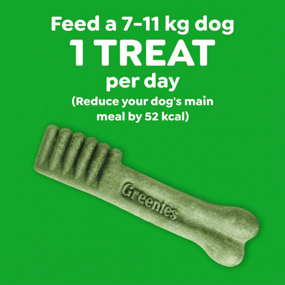 GREENIES Blueberry Petite Dog Dental Treats 340g