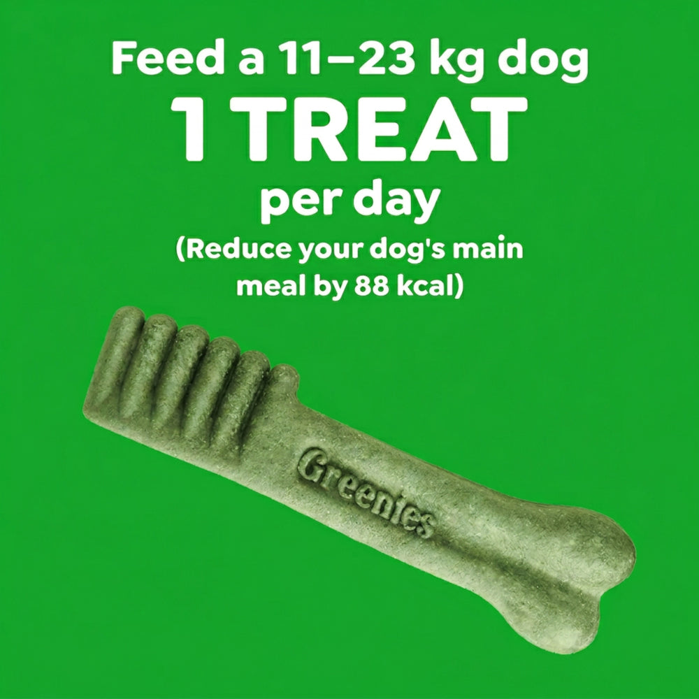 GREENIES Blueberry Regular Dog Dental Treats 340g