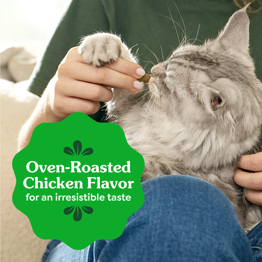 GREENIES Chicken Feline Dental Treats 60g