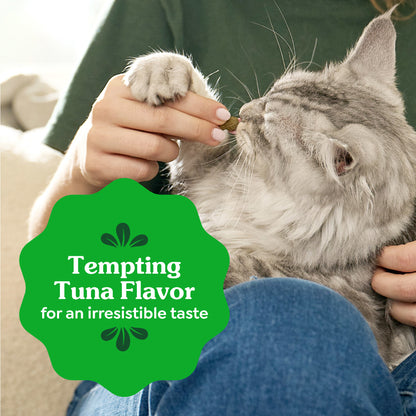 GREENIES Feline Tuna Cat Dental Treats 60g
