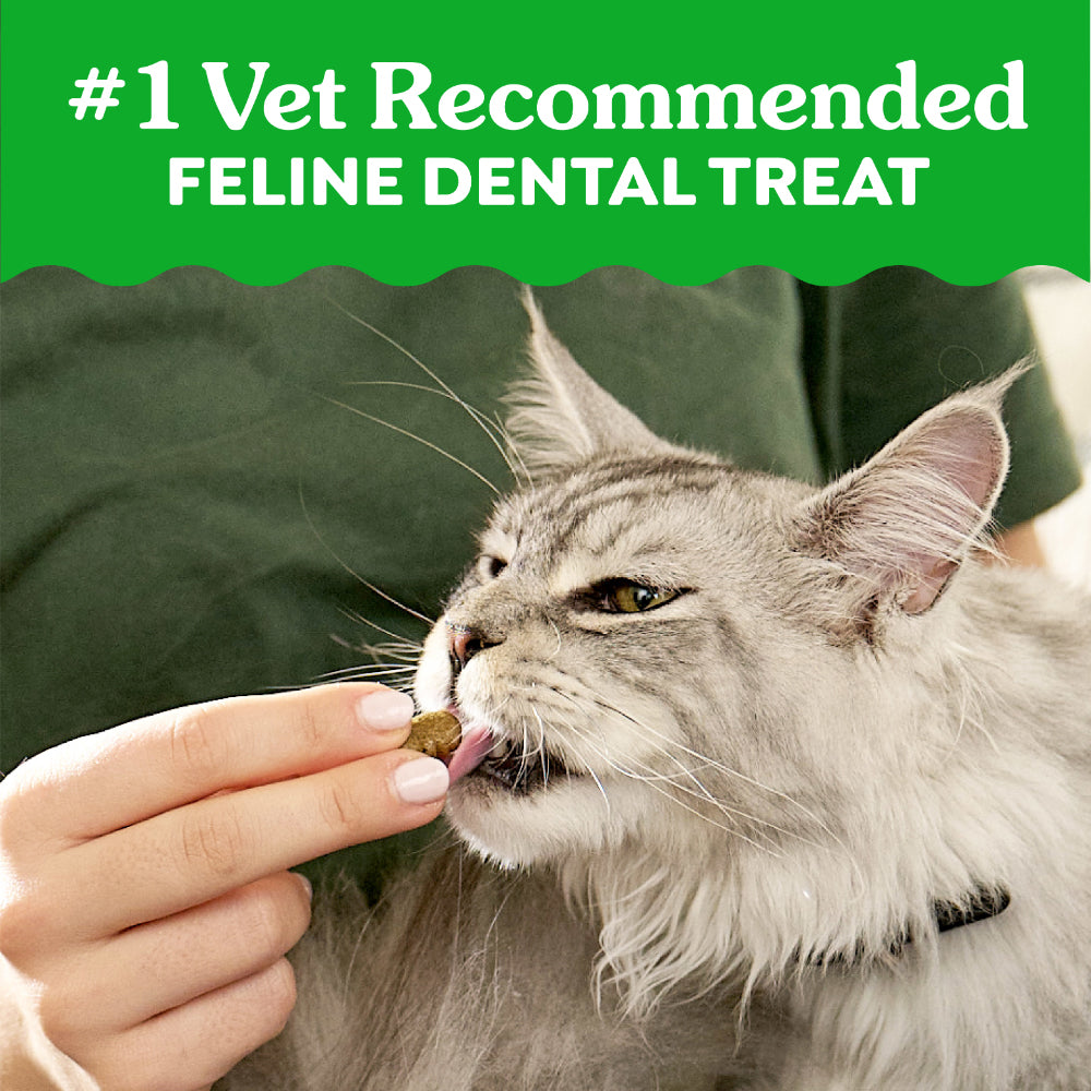 GREENIES Feline Tuna Cat Dental Treats 60g