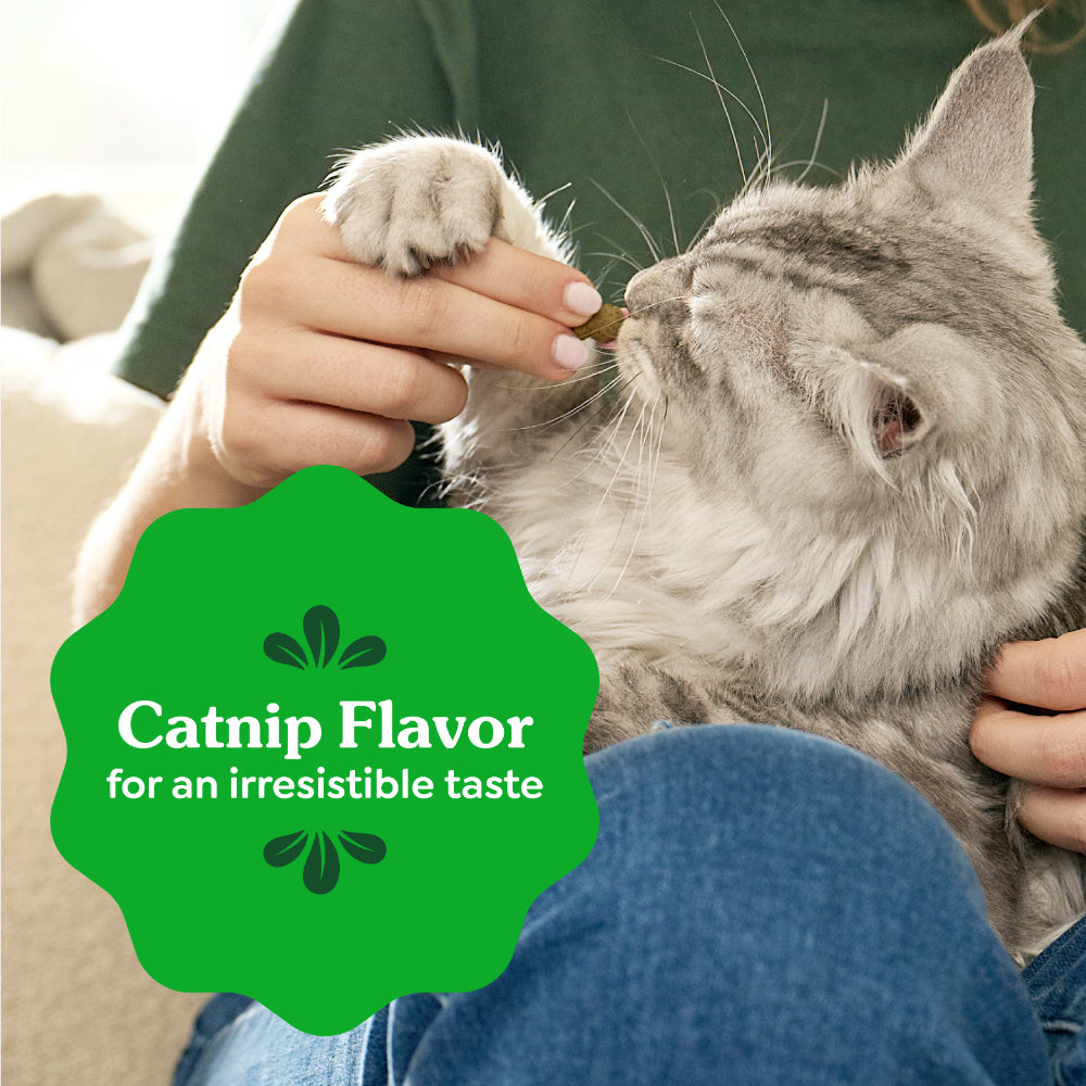 GREENIES Feline Catnip Cat Dental Treats 60g