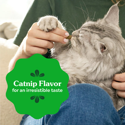 GREENIES Feline Catnip Cat Dental Treats 60g