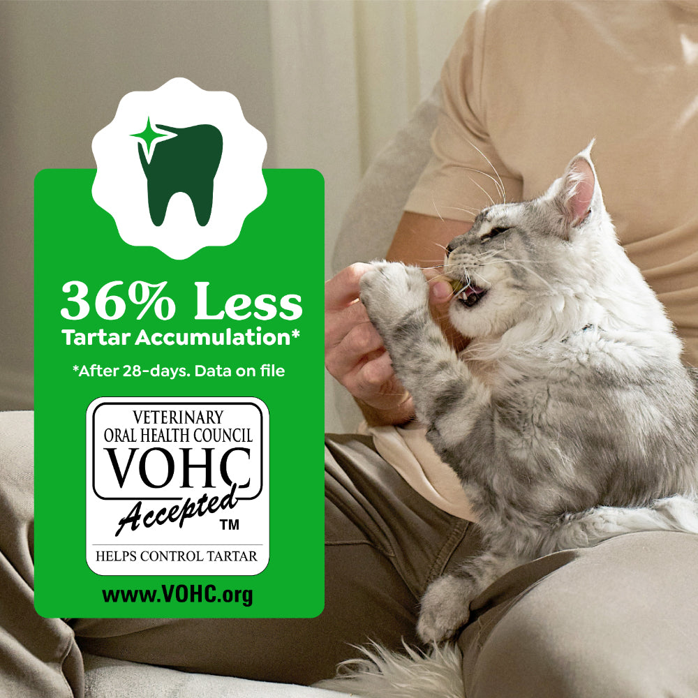 GREENIES Feline Catnip Cat Dental Treats 60g