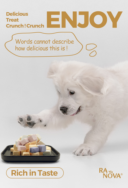 RANOVA Yogurt Cubes Mixed Flavor Freeze Dried Pet Treats 40g