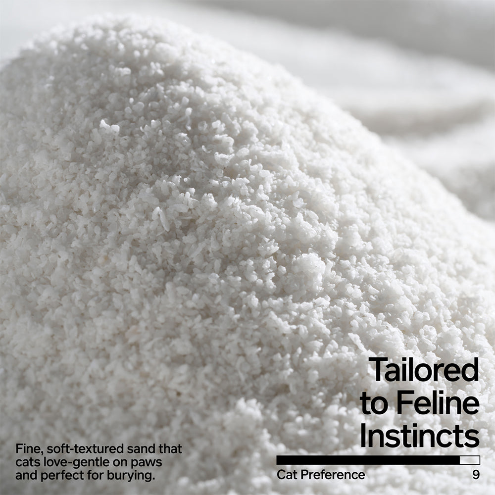 PIDAN Cassava Cat Litter New - 2.4Kg/6L