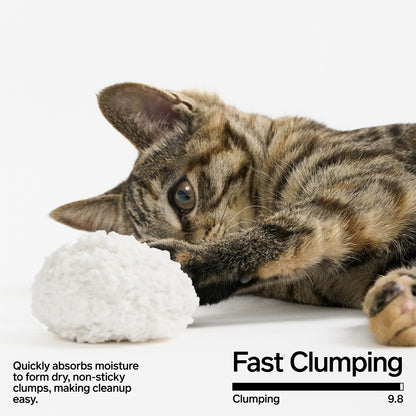 PIDAN Cassava Cat Litter New - 2.4Kg/6L