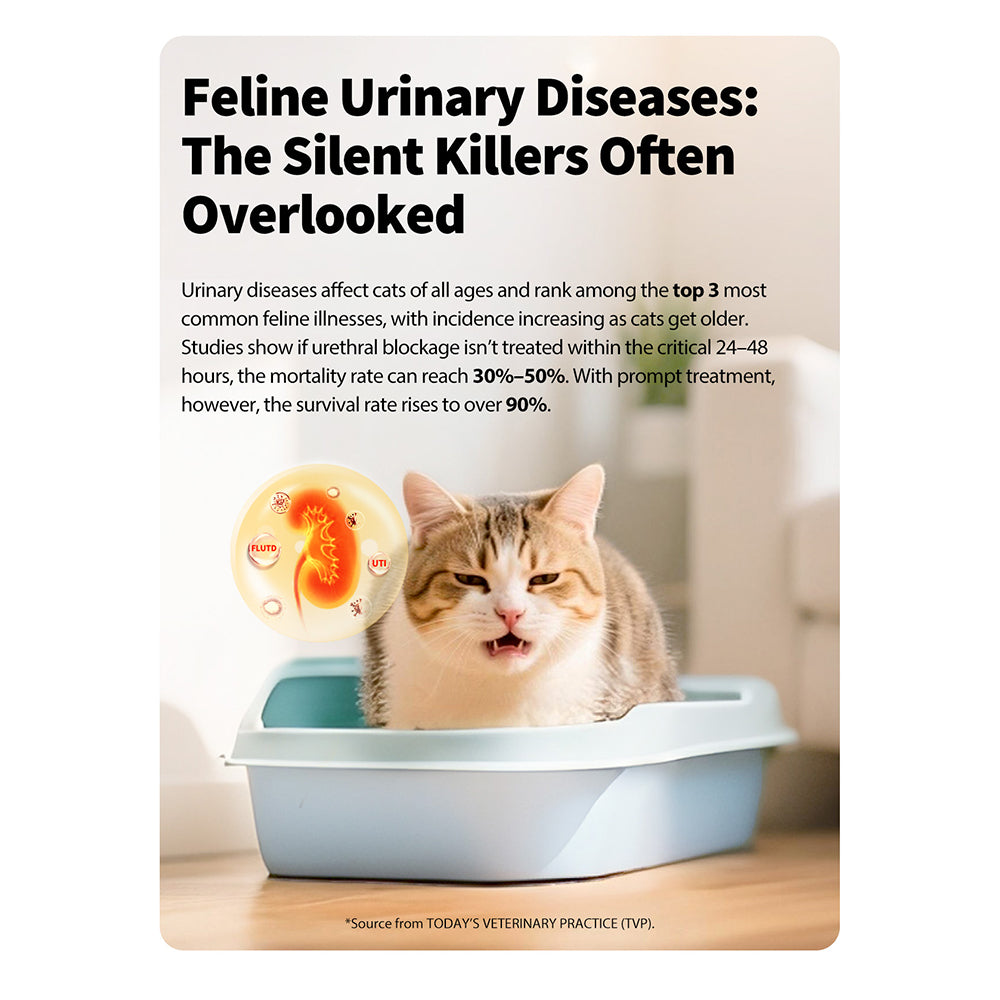 PETKIT Urine Monitor Cat Litter 2.4kg