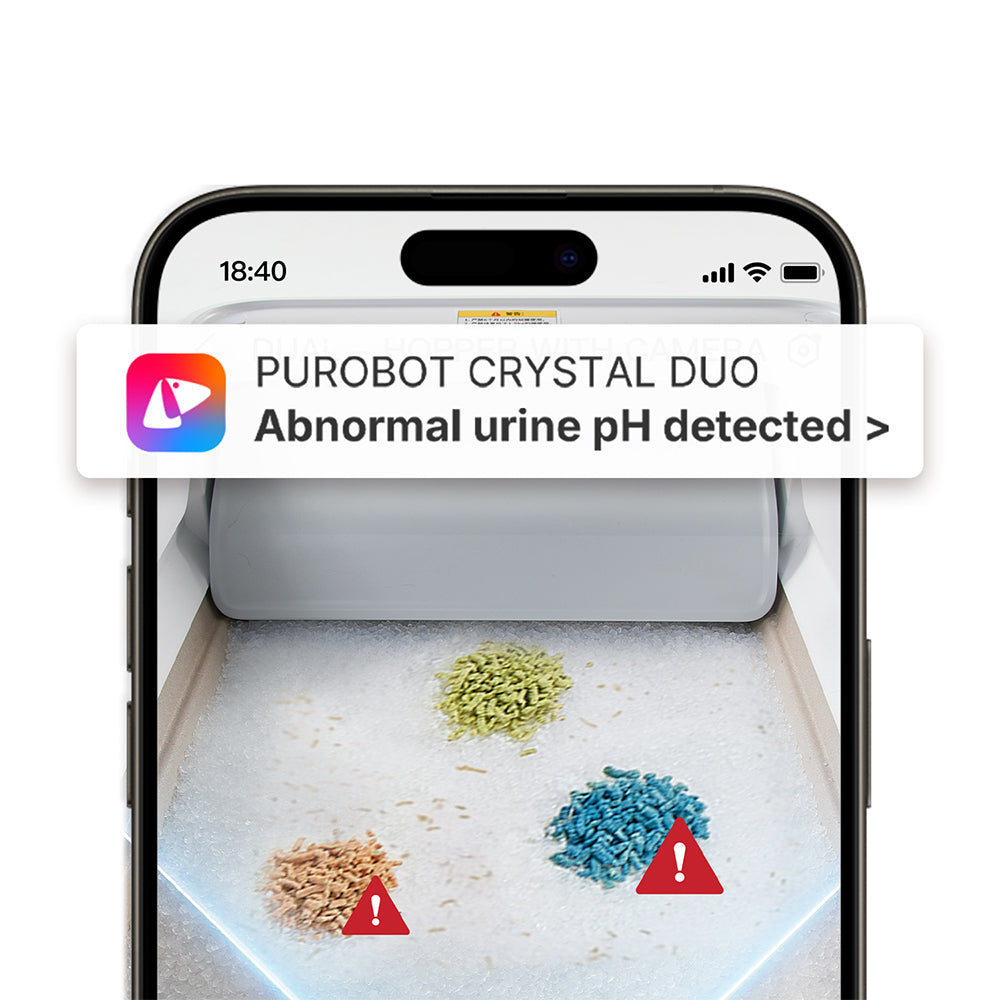 PETKIT Urine Monitor Crystal Cat Litter Set -4 Packs