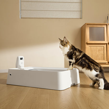 PETKIT Purobot Crystal Duo With Camere Self-Cleaning Cat Litter Box