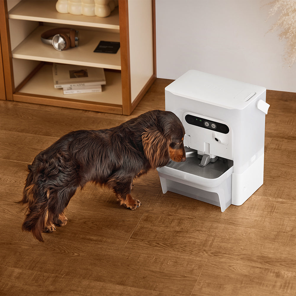 PETKIT Eversweet Ultra With Camera Pet Water Fountain
