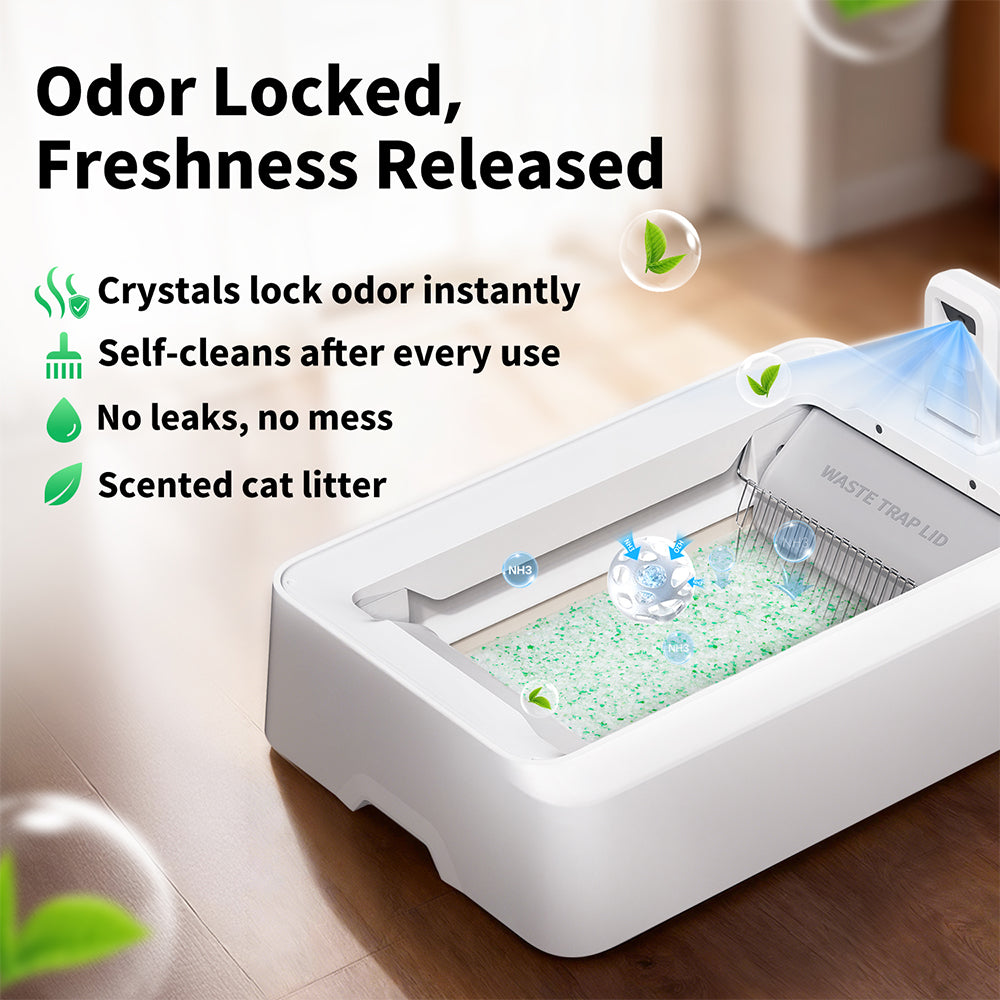 PETKIT Crystal Cat Litter Set (Fresh Green) - 4 Packs