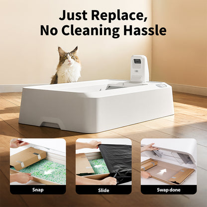 PETKIT Crystal Cat Litter Set (Fresh Green) - 4 Packs