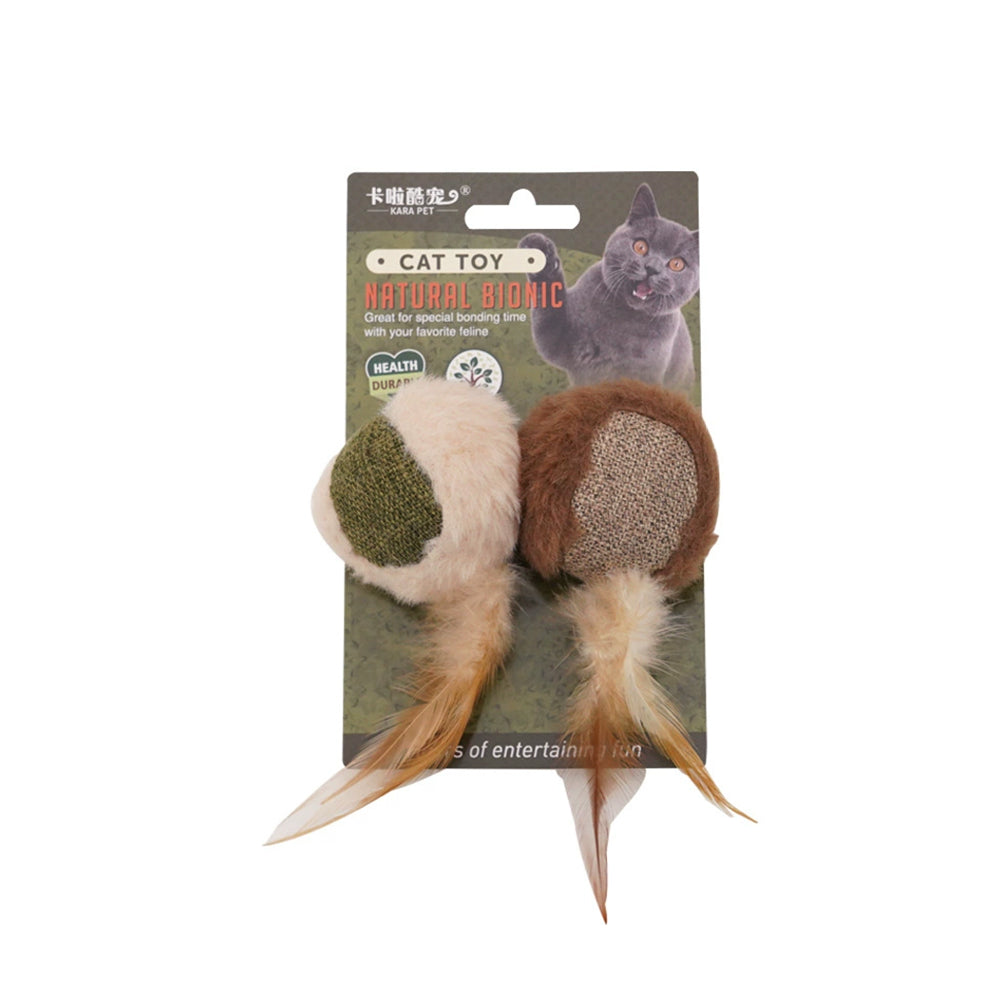 Catnip & Silvervine Chew Toy – Interactive Feather Dental Stick