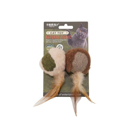 Catnip & Silvervine Chew Toy – Interactive Feather Dental Stick
