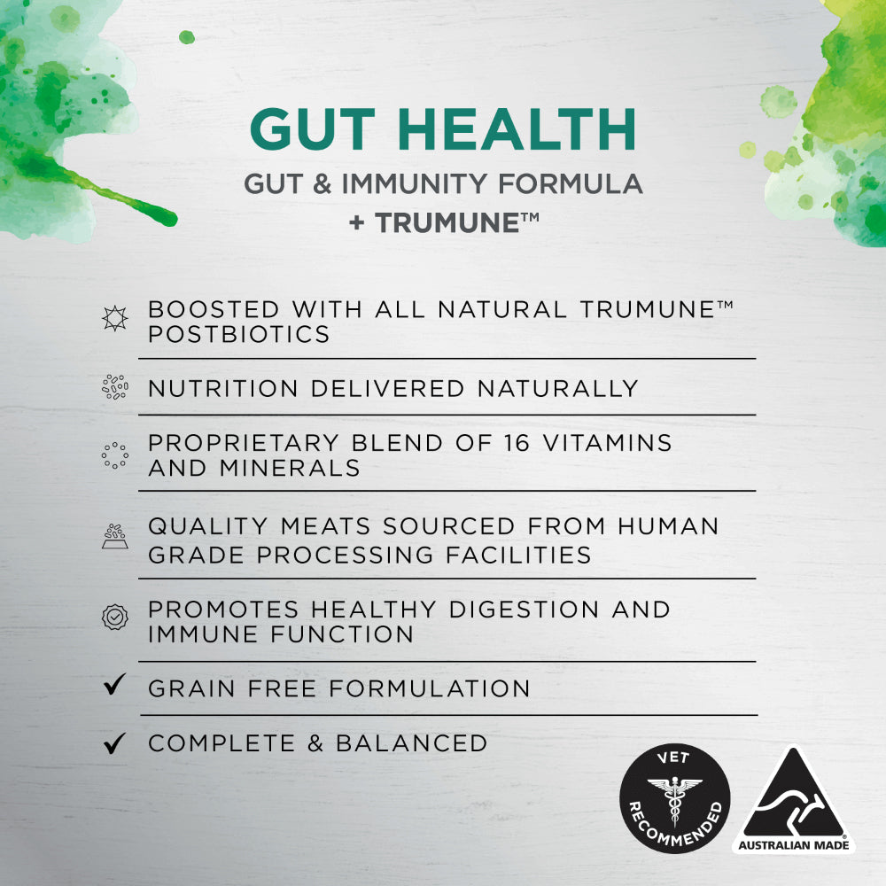 IVORY COAT Inspired By Raw Gut Health Wet Dog Food 100g x 9