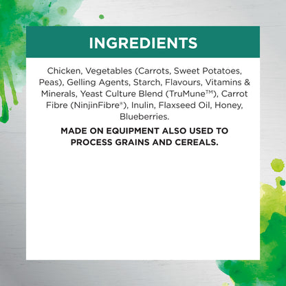 IVORY COAT Inspired By Raw Gut Health Wet Dog Food 100g x 9