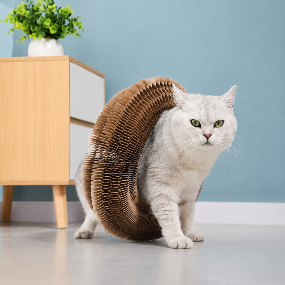 Foldable Accordion Cat Scratcher – Magnetic Corrugated Cardboard Toy