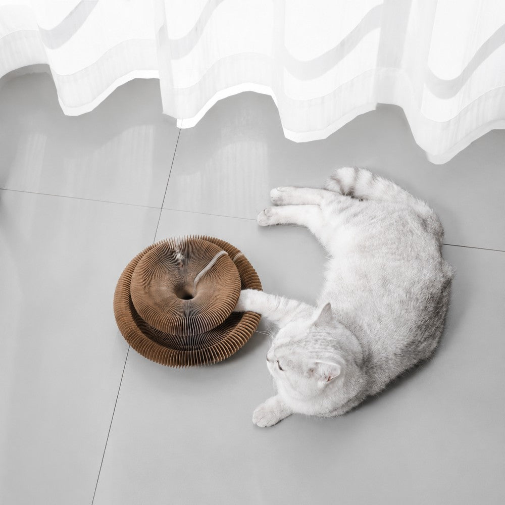 Foldable Accordion Cat Scratcher – Magnetic Corrugated Cardboard Toy