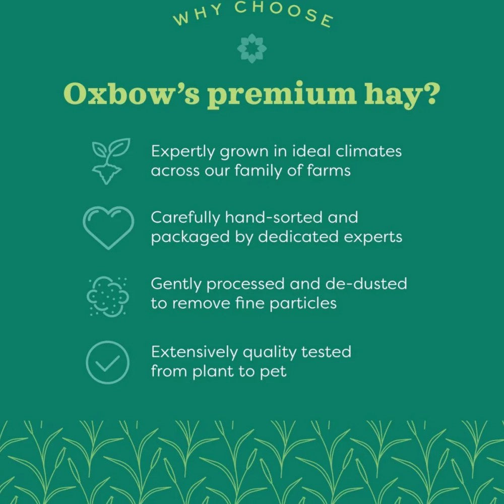 OXBOW Oat Hay Small Pet Bedding 425g