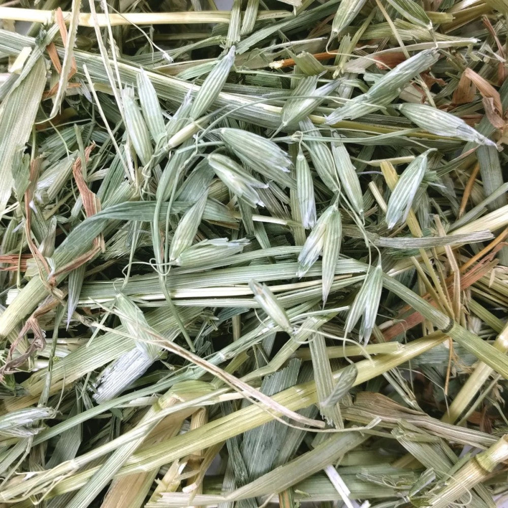 OXBOW Oat Hay Small Pet Bedding 425g