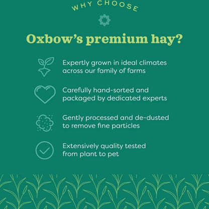 OXBOW Oat Hay Small Pet Bedding 425g