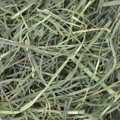 OXBOW Orchard Grass Hay Small Pet Bedding Medium 1.13kg
