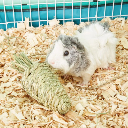 OXBOW Timothy Club Carrot Small Pet Treat