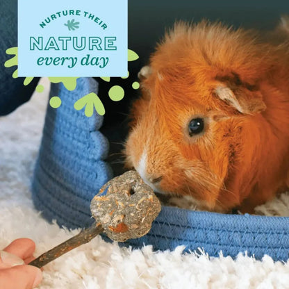 OXBOW Timothy Club Twist Small Pet Treat
