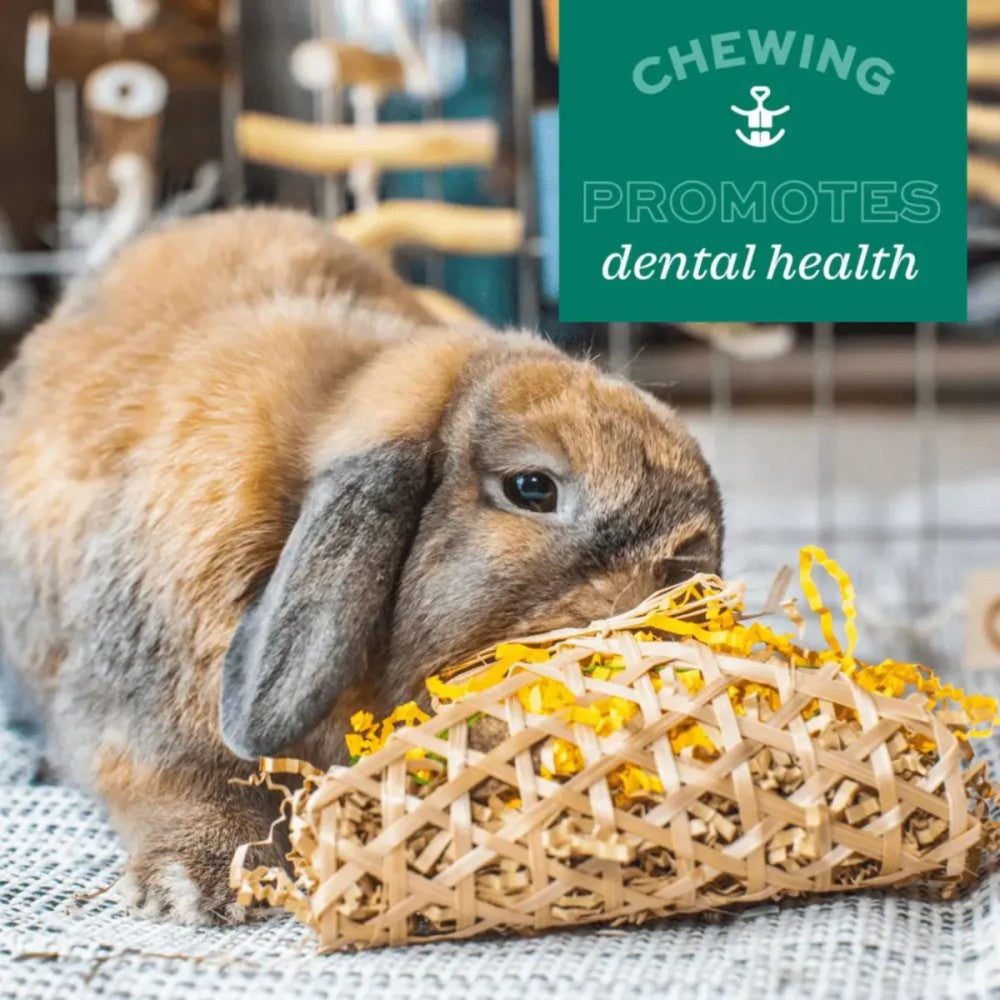 OXBOW Timothy Club Twist Small Pet Treat