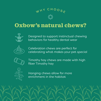 OXBOW Timothy Club Twist Small Pet Treat
