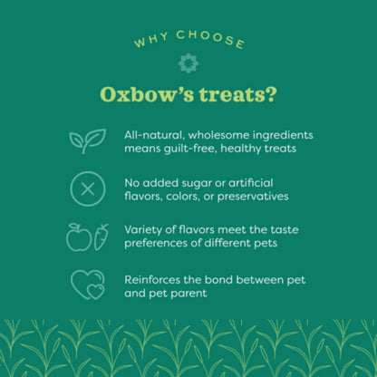 OXBOW Simple Rewards Cranberry Small Pet Treat 85g