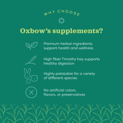 OXBOW Natural Science Papaya Support Small Pet Treat 33g