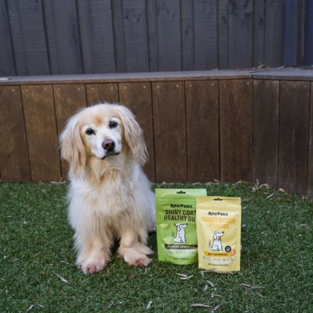[EXP-20/09/2026] RAW PAWZ Healthy Gut Diy Gummies Dog Treats 90g