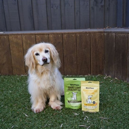 [EXP-20/09/2026] RAW PAWZ Healthy Gut Diy Gummies Dog Treats 90g