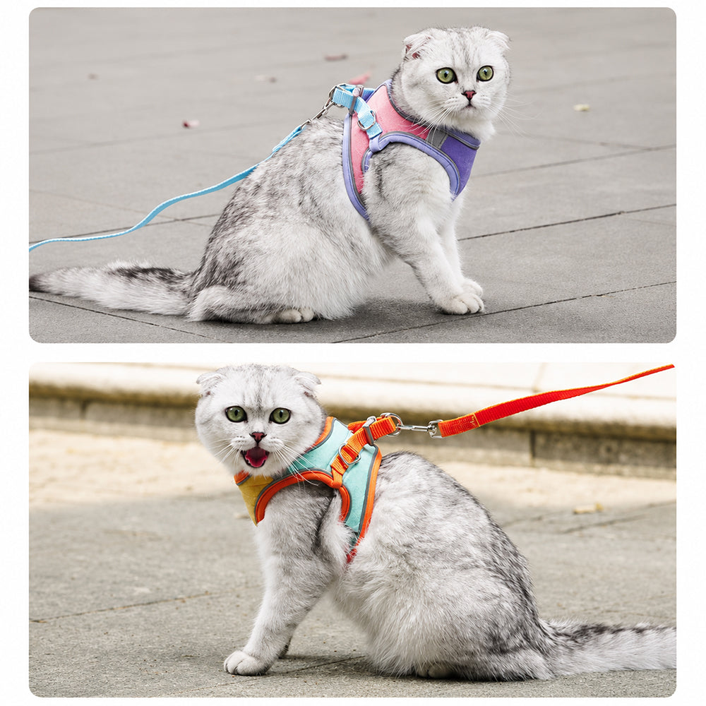 Pet Harness & Leash Set | Escape Proof Reflective | Cats, Dogs, Rabbits & More