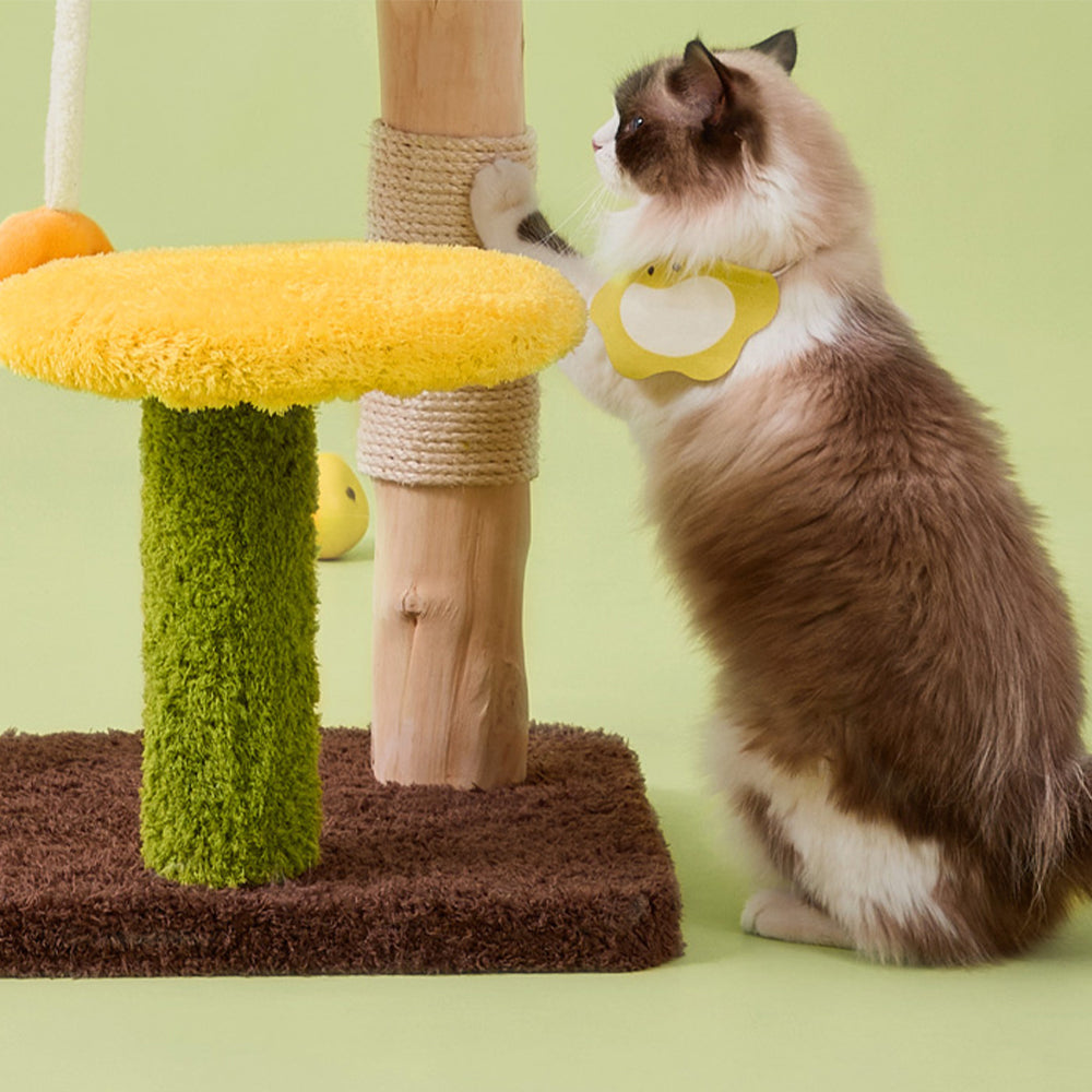 CMISSTREE Pear-Shaped Scratching Post And Cat Bed