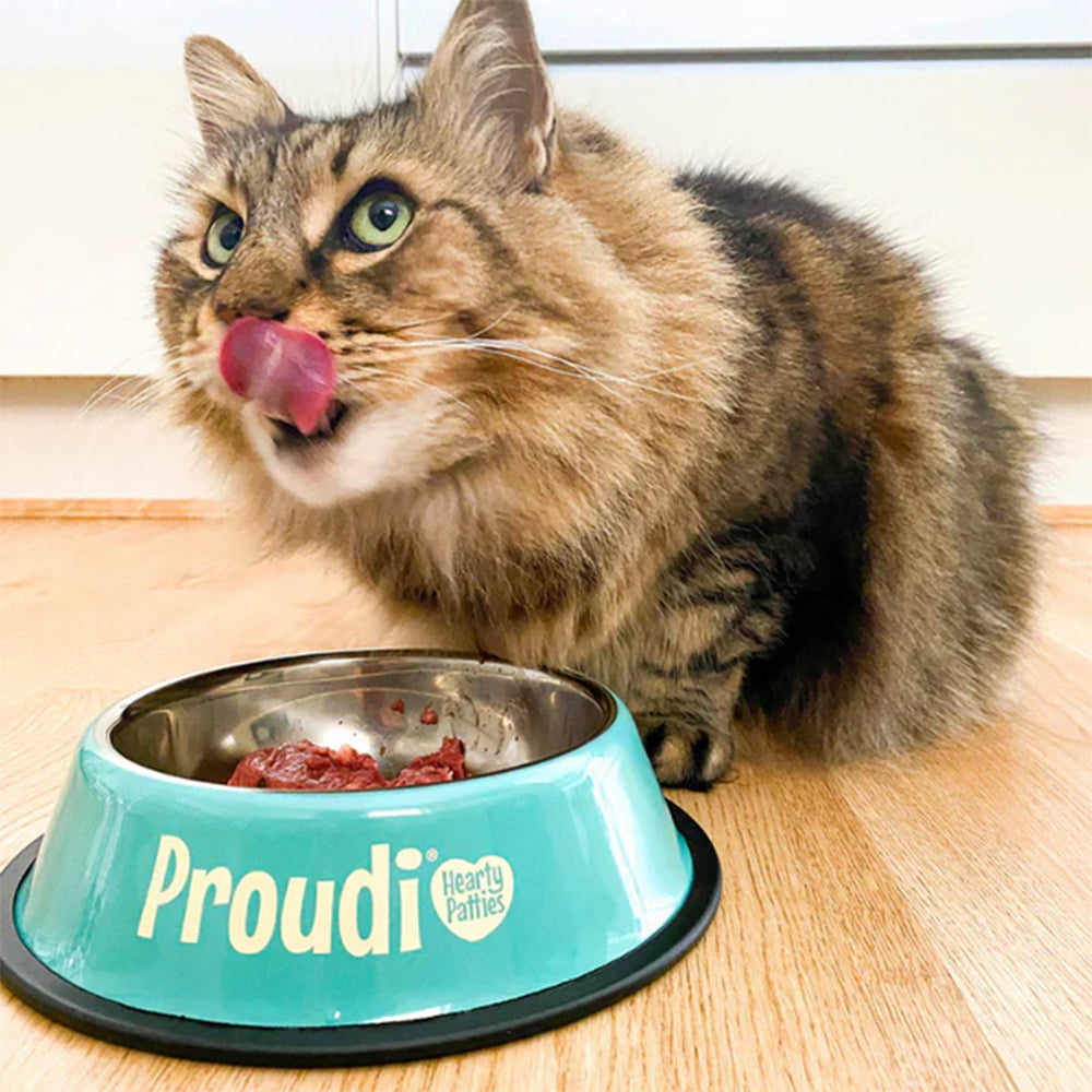 PROUDI Premium Frozen Kangaroo & Beef Raw Cat Food 1.08Kg