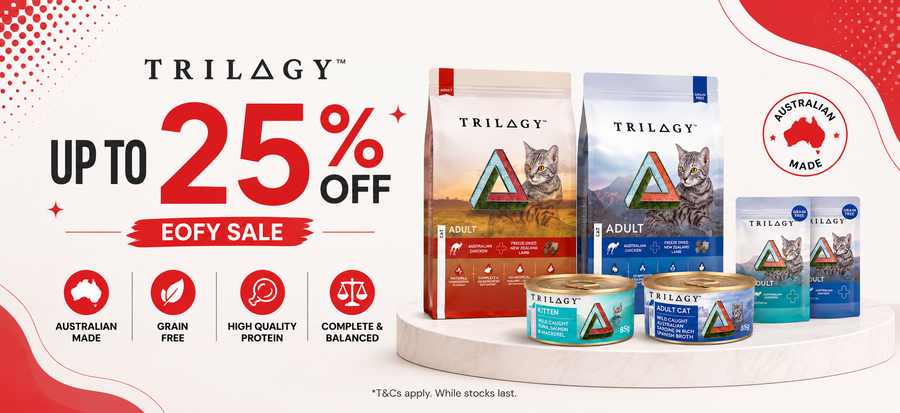 Shop the sale