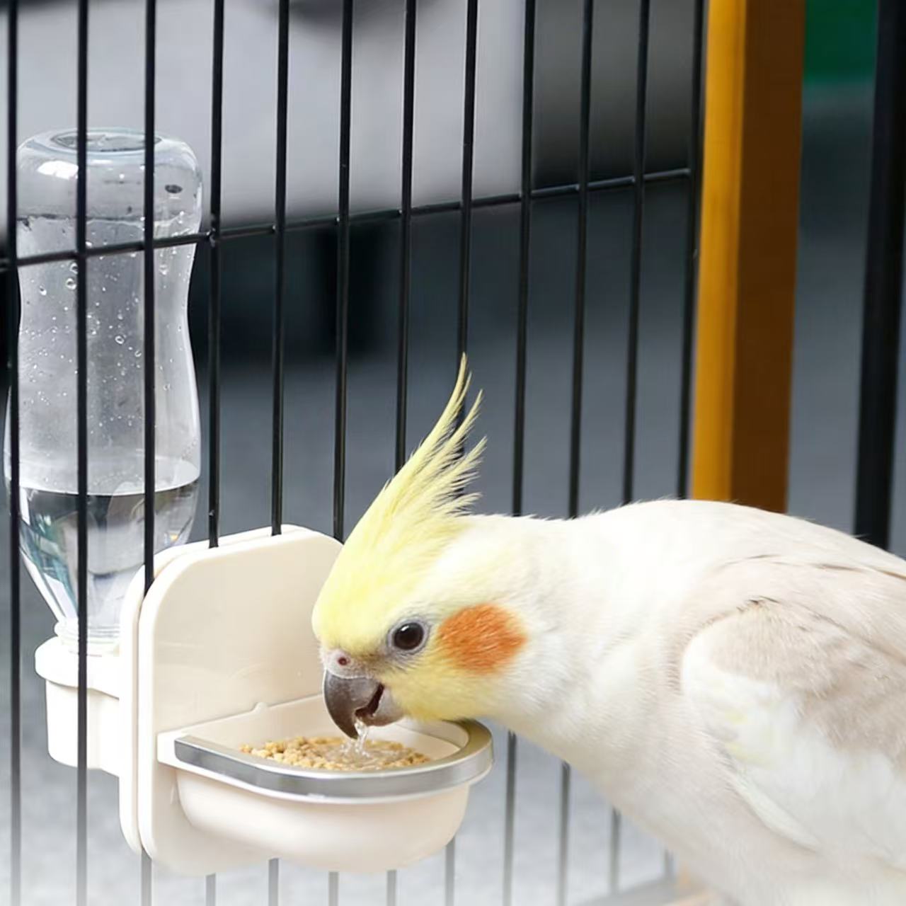 Auto-Fill Hanging Water Bottle for Cages: Perfect for Cats, Birds & Small Pets