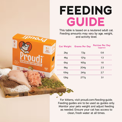 PROUDI Premium Frozen Turkey & Chicken Raw Cat Food 1.08Kg