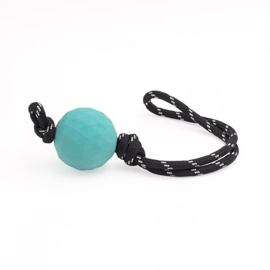 ZIPPY PAWS ZippyTuff Waggle RopeTugz Babble Ball Dog Toy