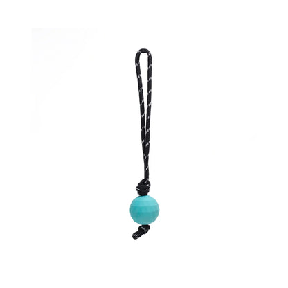 ZIPPY PAWS ZippyTuff Waggle RopeTugz Babble Ball Dog Toy