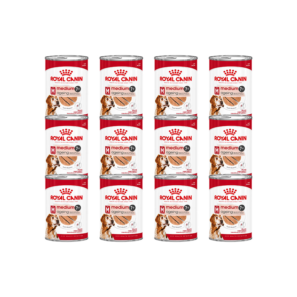 ROYAL CANIN Medium Ageing Loaf Wet Dog Food