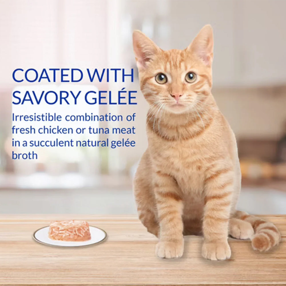 INABA Twins Tuna & Chicken With Salmon Recipe 70g (35g x 2) USA-834