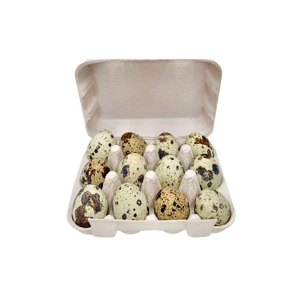 FREEZY PAWS Quail Eggs Freeze Dried Pet Treats 12pcs
