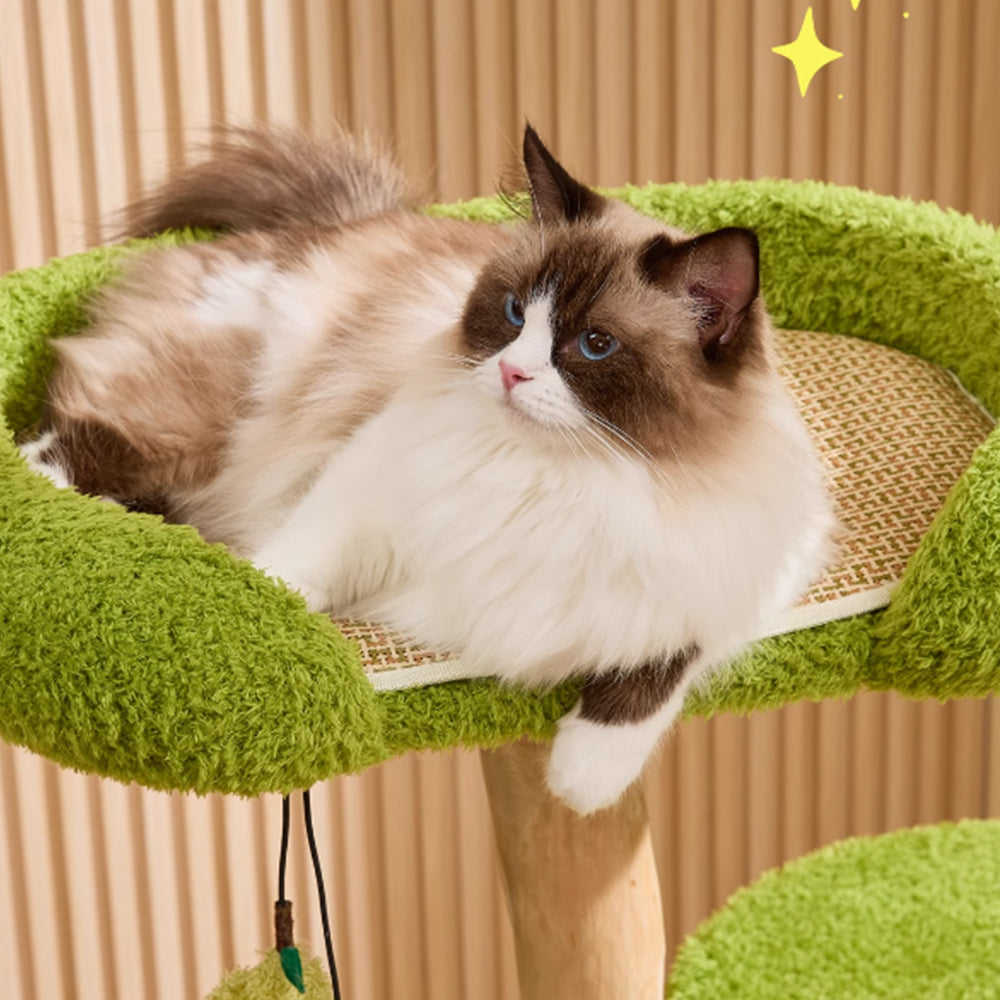 CMISSTREE Three-Level Cat Tree Wth Pear-Shaped Hammock And Cat House