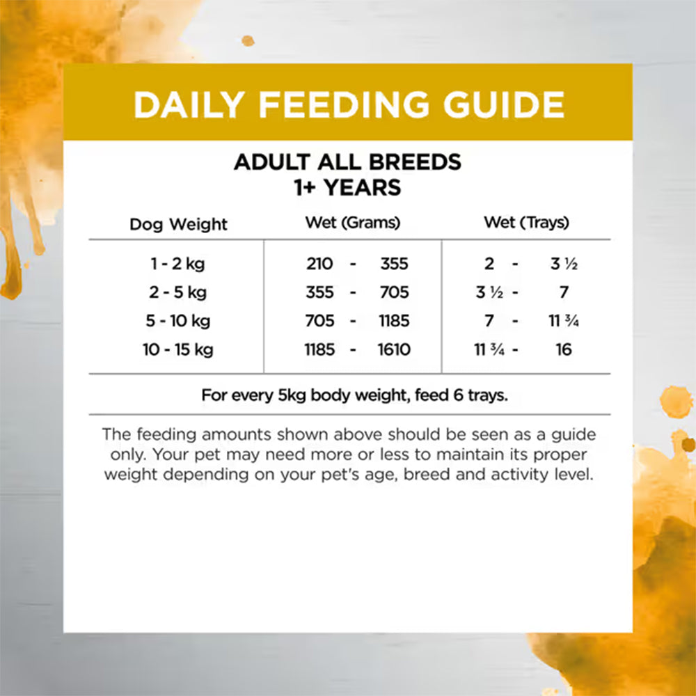 IVORY COAT Inspired By Raw Health & Vitality Wet Dog Food 100g x 9