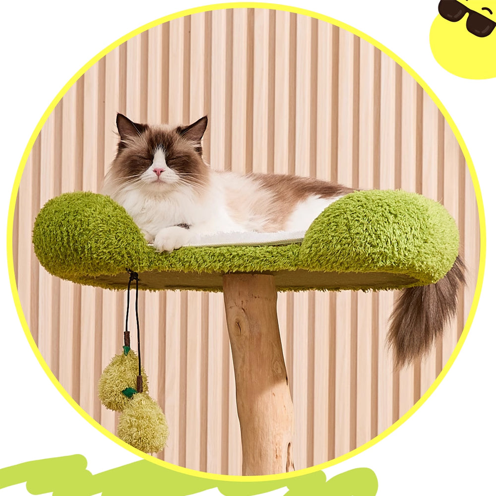 CMISSTREE Three-Level Cat Tree Wth Pear-Shaped Hammock And Cat House