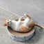 ZODIAC Round Cat Scratcher Stone Pattern 40x40x10cm